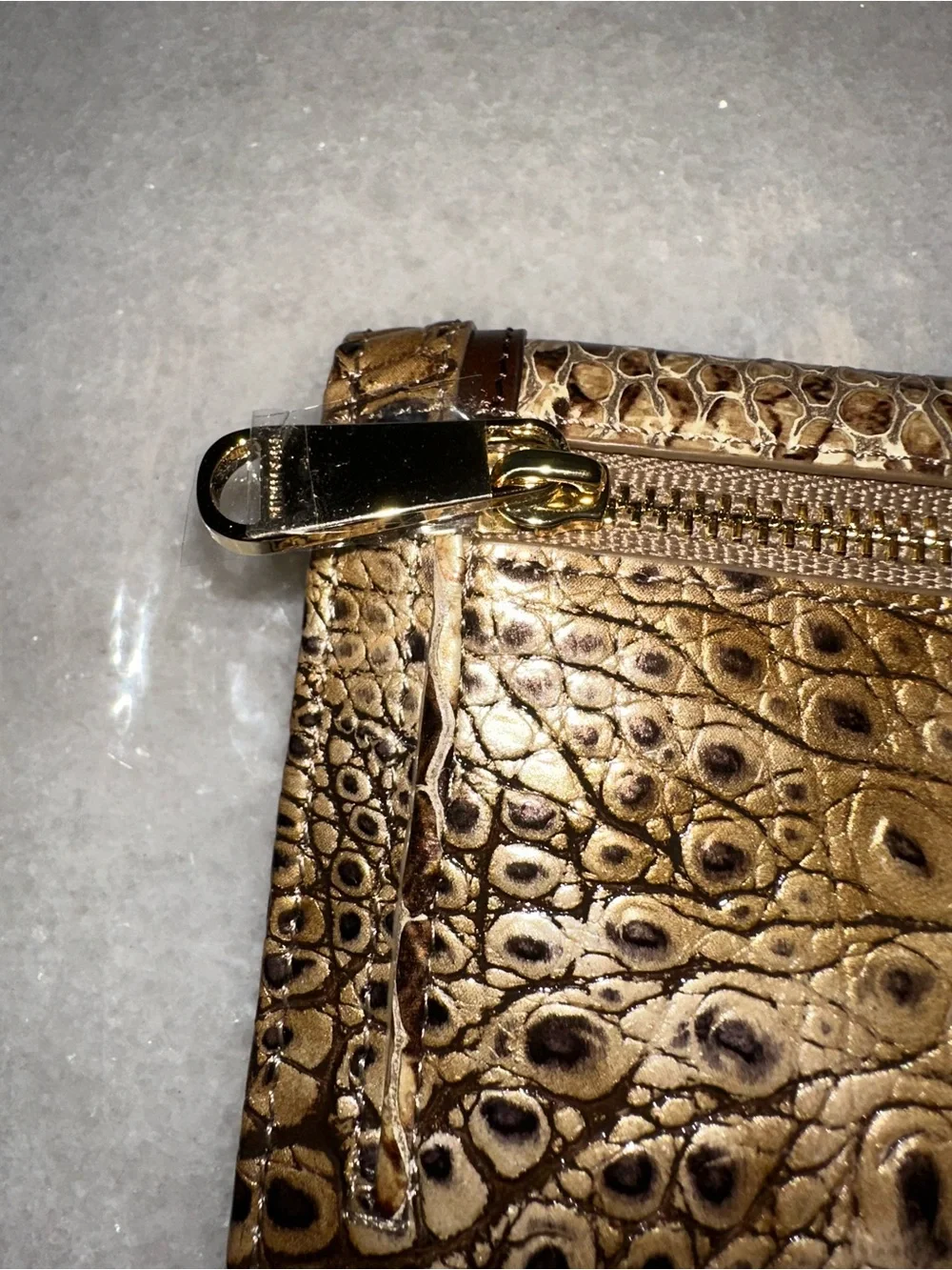 Brahmin sleek ady